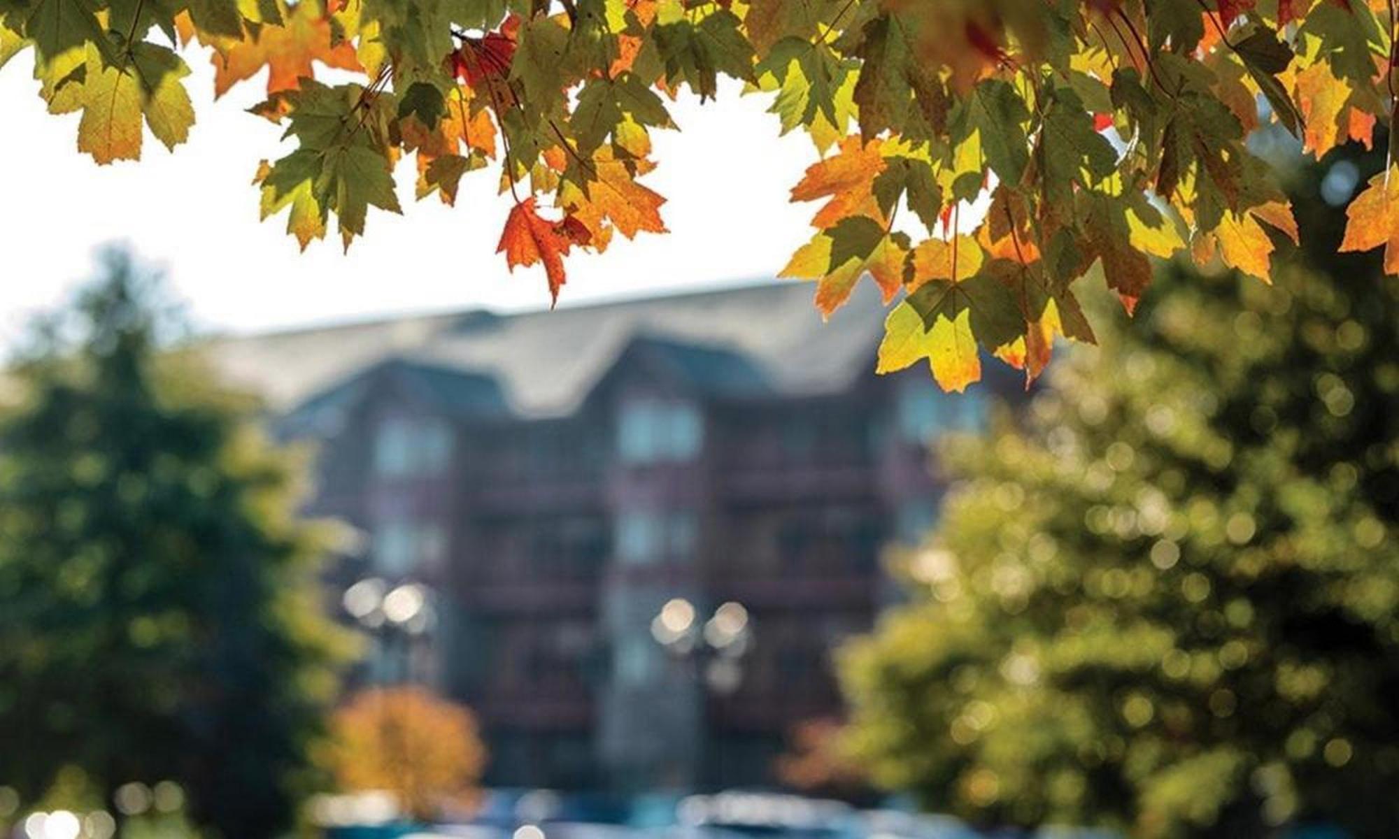 Great Smokies Lodge Sevierville By Hellovacay Kültér fotó